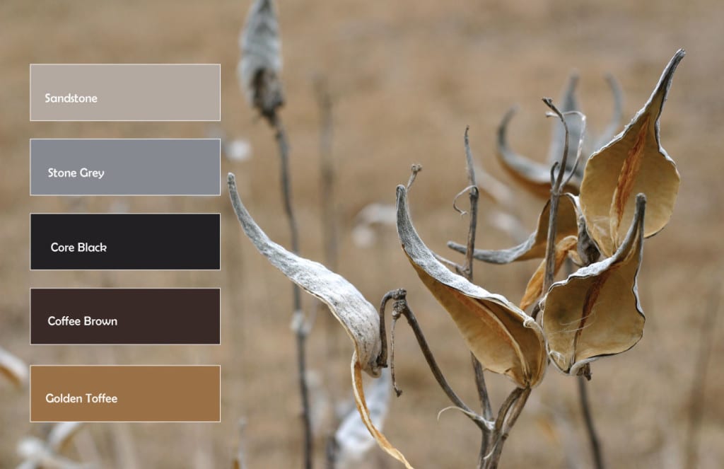 Top-selling-color-2015.AUGUST.NEUTRALS.P