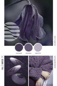 Q3 - Fall/Winter 2025 – eColorWorld